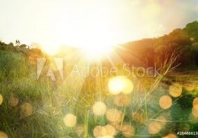 AdobeStock_284868136_Preview