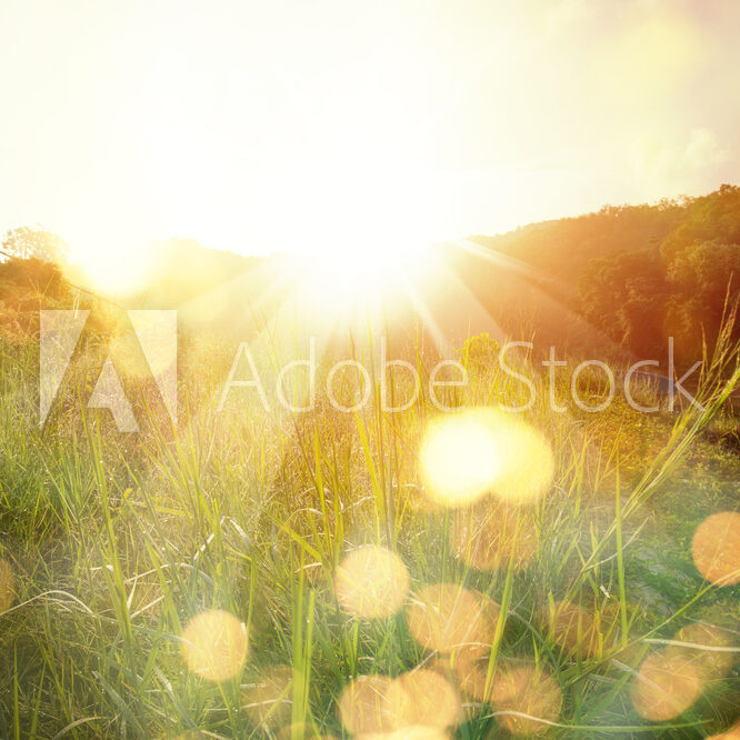 AdobeStock_284868136_Preview